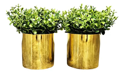 2 Vasinhos Com Planta - Ninho Móveis