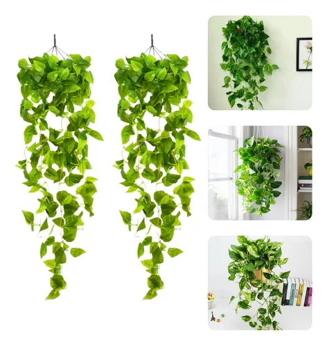 2 Pendentes De Jiboia Artificial - Ninho Móveis