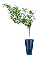 Planta Artificial Realista Mossô Curvado - Ninho Móveis