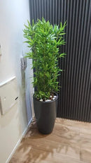 Planta Artificial Realista Bambu Frondoso - Ninho Móveis