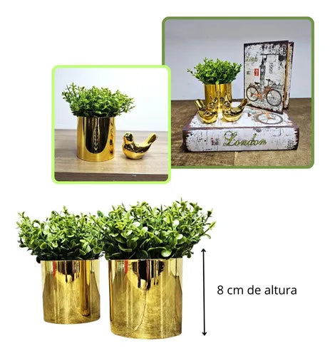 2 Vasinhos Com Planta - Ninho Móveis