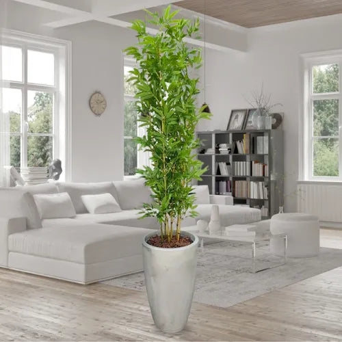 Planta Artificial Realista Bambu Mossô - Ninho Móveis