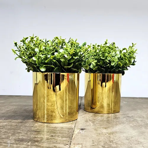 2 Vasinhos Com Planta - Ninho Móveis