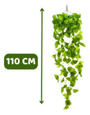 2 Pendentes De Jiboia Artificial - Ninho Móveis