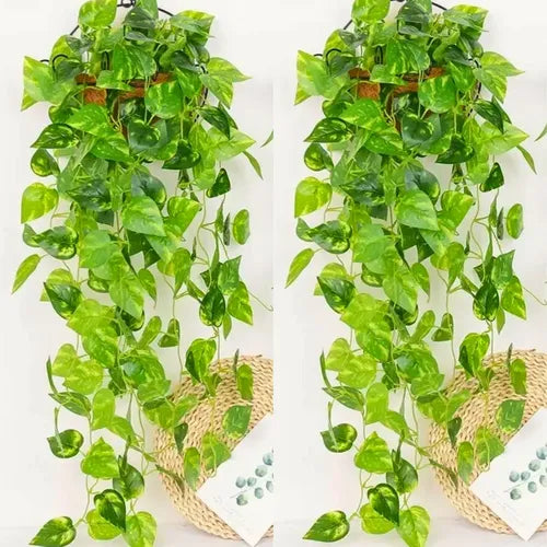 2 Pendentes De Jiboia Artificial - Ninho Móveis