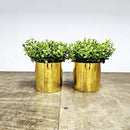 2 Vasinhos Com Planta - Ninho Móveis