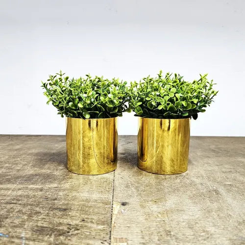 2 Vasinhos Com Planta - Ninho Móveis