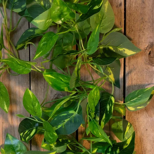 2 Pendentes De Jiboia Artificial - Ninho Móveis