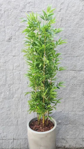 Planta Artificial Realista Bambu Mossô - Ninho Móveis