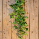 2 Pendentes De Jiboia Artificial - Ninho Móveis