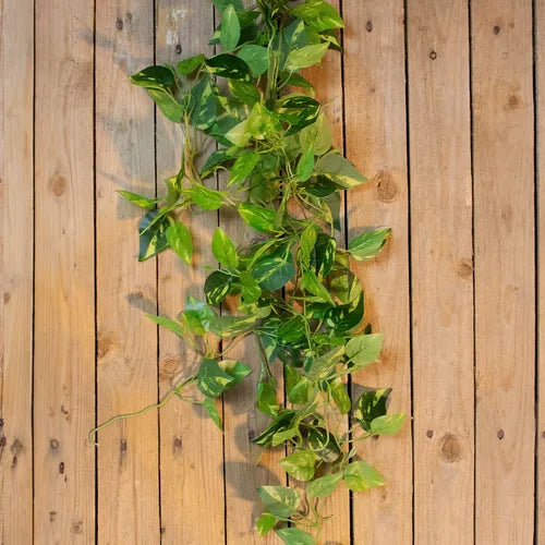 2 Pendentes De Jiboia Artificial - Ninho Móveis