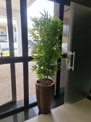 Planta Artificial Realista Bambu Frondoso - Ninho Móveis